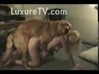 [ Bestiality Sex Video ] Brown mutt is pleased with his recent dominant